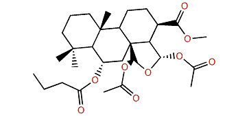 Methyl 15,16-dideoxy-6a-butanoyloxy-15a,17b-diacetoxy-15,17-oxidospongian-16-oate